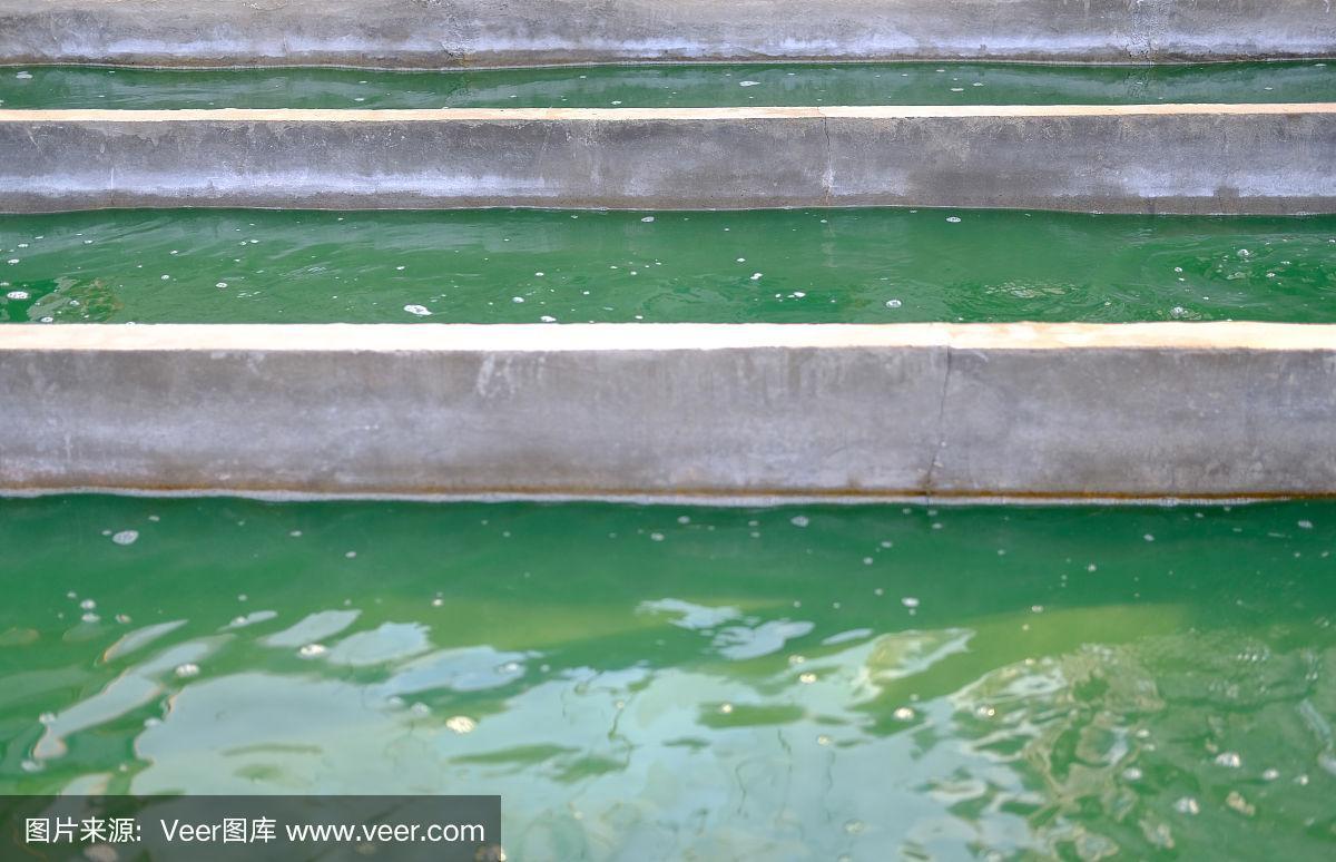 螺旋藻农场.海藻养殖生产膳食补充剂