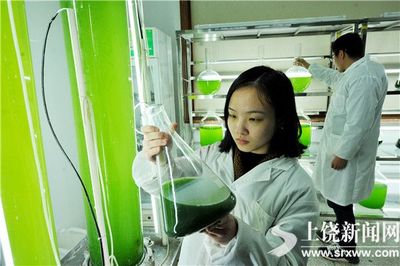 生物科技 “藻”获效益